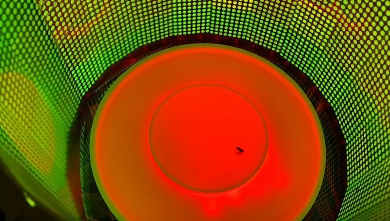 清華大學研究團隊師法果蠅的視覺神經運動情況，以仿生視覺神經做為AI智慧晶片的光流，來提高效率和續電力。